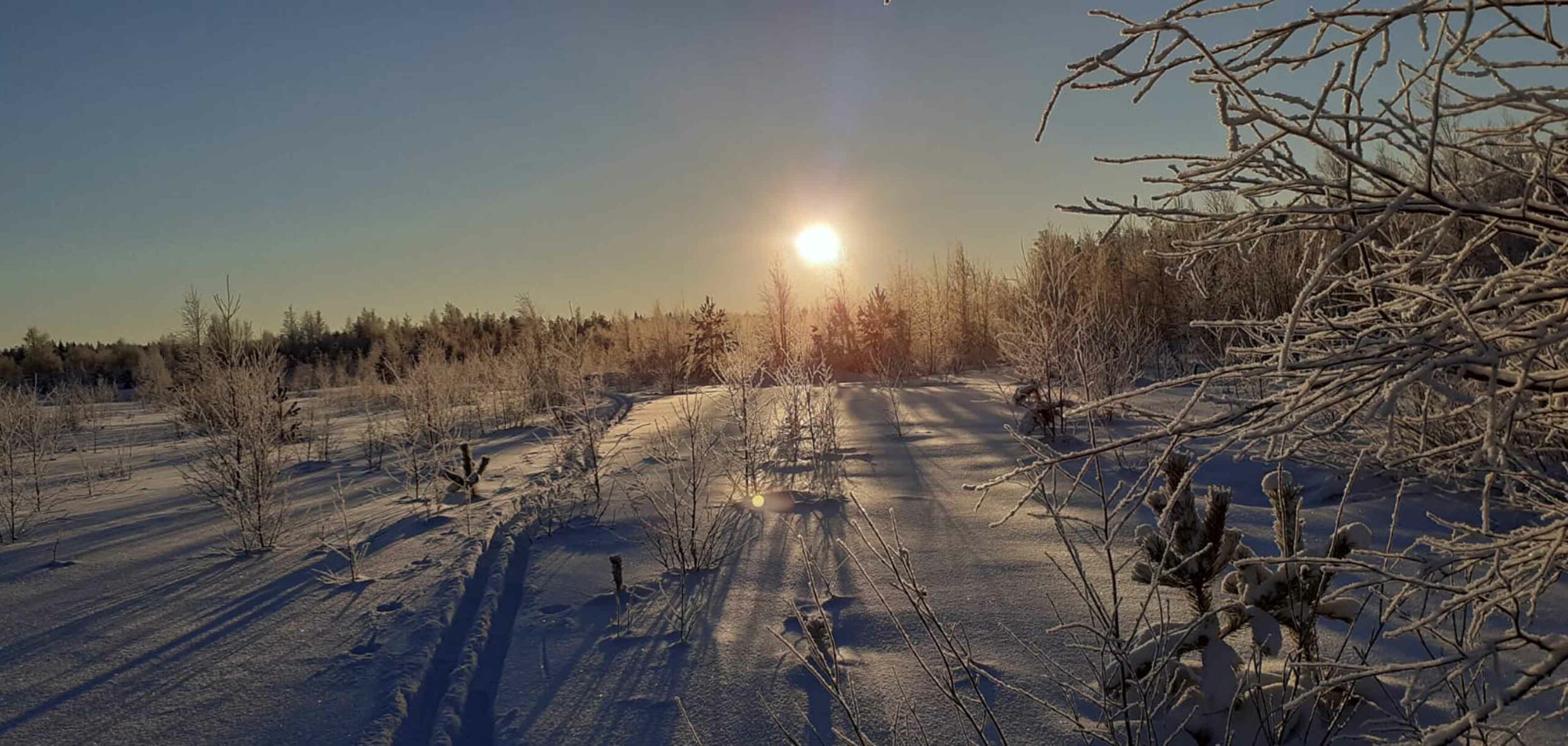 Iisveden Metsä Oy | SoMe reality